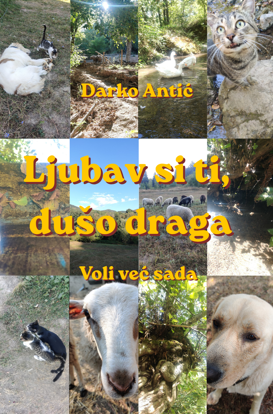 Ljubav si ti, dušo draga. - prednja korica
