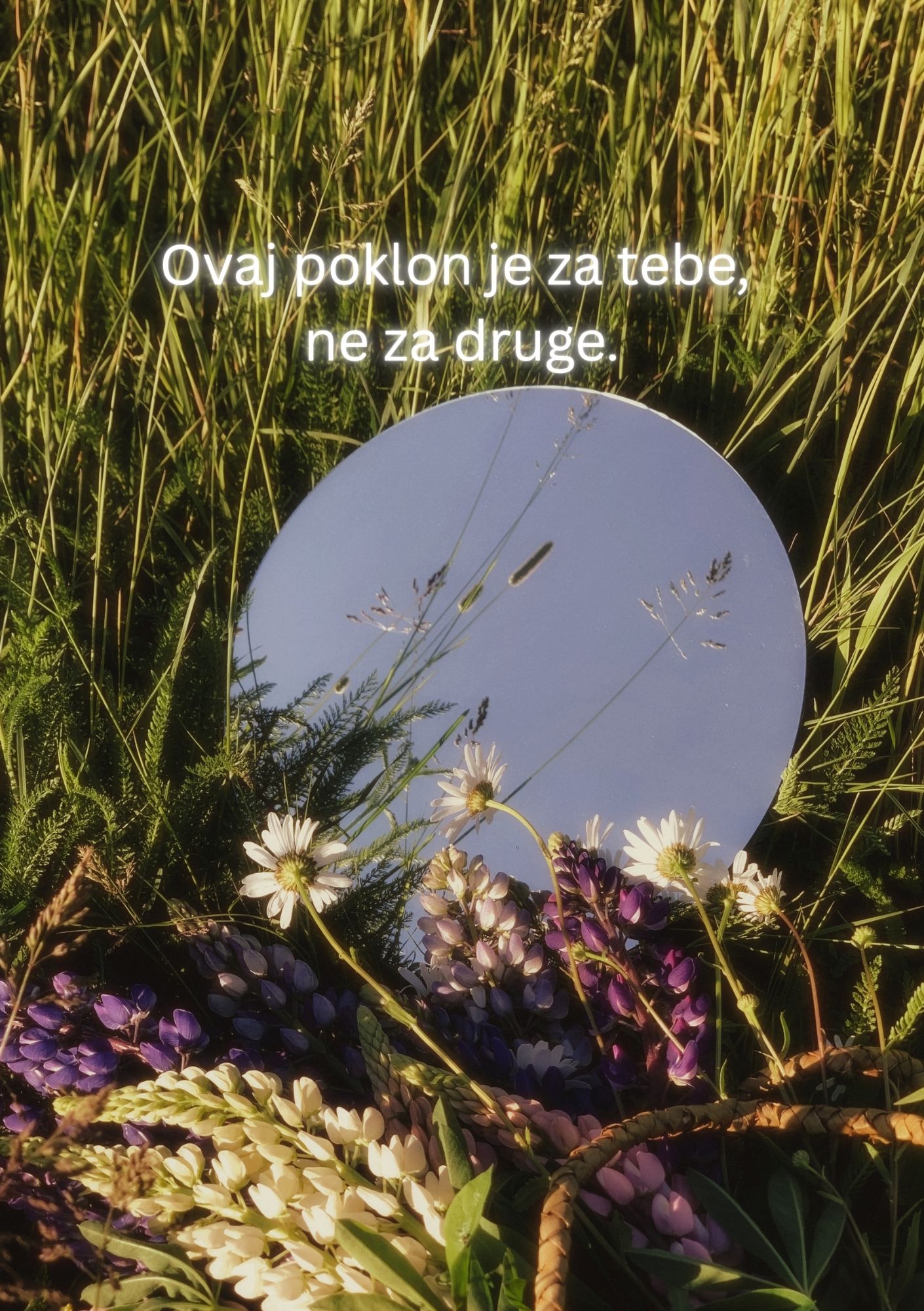 Svitak Svetluka - poklon paket - zadnja korica